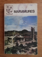Anticariat: Maramures. Monografie (Judetele patriei)