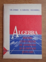 Gheorghe Andrei - Algebra pentru concursuri de admitere si olimpiade scolare, clasa a XI-a
