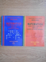 Mircea Ganga - Matematica, manual pentru clasa a XII-a, M1. Elemente de algebra. Elemente de analiza matematica (2 volume)