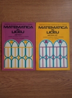 N. Teodorescu - Matematica in liceu. Culegere de articole metodice si stiintifice (2 volume)