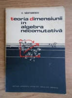 C. Nastasescu - Teoria dimensiunii in algebra necomutativa