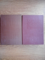 Dumitru Ghise - Scoala ardeleana (2 volume)