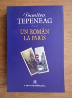 Dumitru Tepeneag - Un roman la Paris. Jurnal
