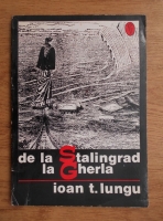 Ioan T. Lungu - De la Stalingrad la Gherla