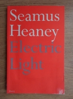 Seamus Heaney - Electric light