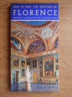 How to visit the beauties of Florence. Practical illustrated and coloured guide