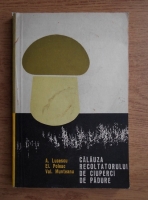 A. Lucescu - Calauza recoltatului de ciuperci de padure
