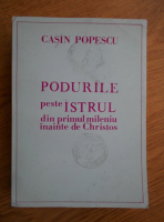 Casin Popescu - Podurile peste Istrul din primul mileniu inainte de Christos