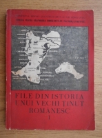 File din istoria unui vechi tinut romanesc (volumul 1)