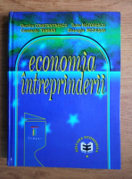 Dumitru Constantinescu - Economia intreprinderii