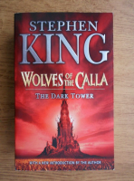 Stephen King - The dark tower. Wolves of the Calla 