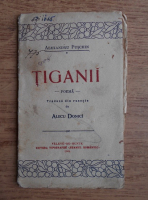 Alexandru Puschin - Tiganii, poema (1908)
