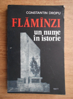 Anticariat: Constantin Dropu - Flamanzi, un nume in istorie