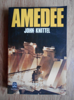 John Knittel - Amedee