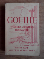 Johann Wolfgang Goethe - Wilhelm Meisters Lehrjahre