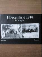 Anticariat: 1 Decembrie 1918 in imagini. Alba Iulia, Bucuresti
