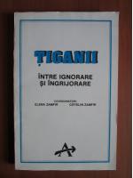 Elena Zamfir - Tiganii intre ignorare si ingrijorare