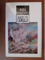 Maria Revakovyci - Acupunctura cerului