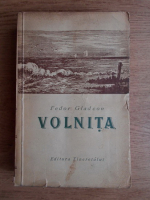 Feodor Gladcov - Volnita