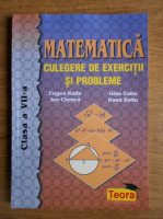 Eugen Radu, Ion Chesca - Matematica. Culegerea de exercitii si probleme. Clasa a VII-a