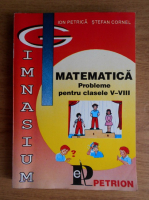 Ion Petrica - Matematica. Probleme pentru clasele V-VIII