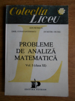 Ion Petrica - Probleme de analiza matematica, clasa a IX-a (volumul 1)