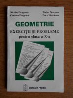 Nicolae Dragomir - Geometrie. Exercitii si probleme pentru clasa a X-a