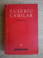 Eusebiu Camilar - Negura
