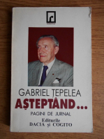 Anticariat: Gabriel Tepelea - Asteptand