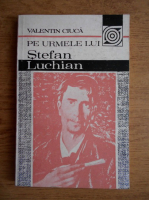 Anticariat: Valentin Ciuca - Pe urmele lui Stefan Luchian