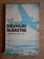 Constantin Argesanu - Drumuri albastre. Insemnarile unui pilot (1932)
