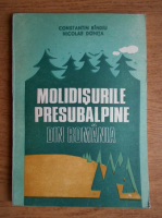 Constantin Bindiu - Moldisurile presubalpine din Romania