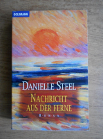 Danielle Steel - Nachricht aus der Ferne