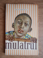 Anticariat: Enzo Maizza - Mulatrul 