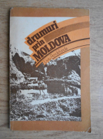 Liviu Pendefunda - Drumuri prin Moldova