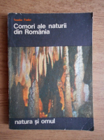 Anticariat: Teodor Fodor - Comori ale naturii din Romania