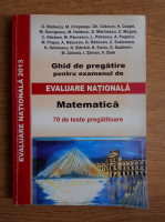 Marius Ciocirlan - Matematica. Ghid de pregatire pentru examenul de evaluare nationala