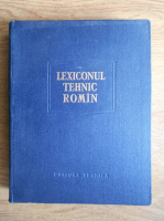 Remus Radulet - Lexiconul tehnic roman (volumul 13, Pol-Ram)