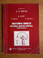 G. Lupu, B. Cristea, F. Terteliu - Anatomia omului. Sistemul nervos central. Lucrari practice