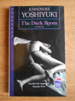 Junnosuke Yoshiyuki - The dark room