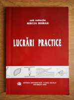 Mircea Beuran - Lucrari practice