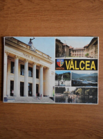 Judetul Valcea (monografie)