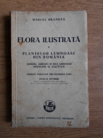 Marcel Brandza - Flora ilustrata a plantelor lemnoase din Romania