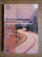 Rene Rogelio Smith - Procesul pedagogic. Agonie sau renastere?