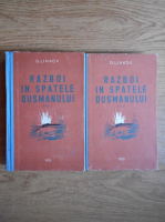 G. Linkov - Razboi in spatele dusmanului (2 volume)