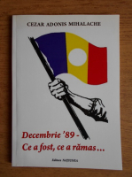 Cezar Adonis Mihalache - Decembrie 89, ce a fost, ce a ramas