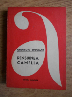 Gheorghe Buzoianu - Pensiunea Camelia
