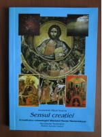 Mihail Stanciu - Sensul creatiei
