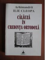 Anticariat: Ilie Cleopa - Calauza in credinta ortodoxa