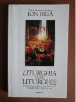 Ion Bria - Liturghia dupa liturghie